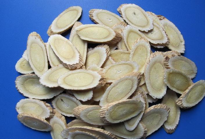 Astragalus root slice huang qi 